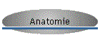 Anatomie