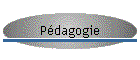 Pdagogie